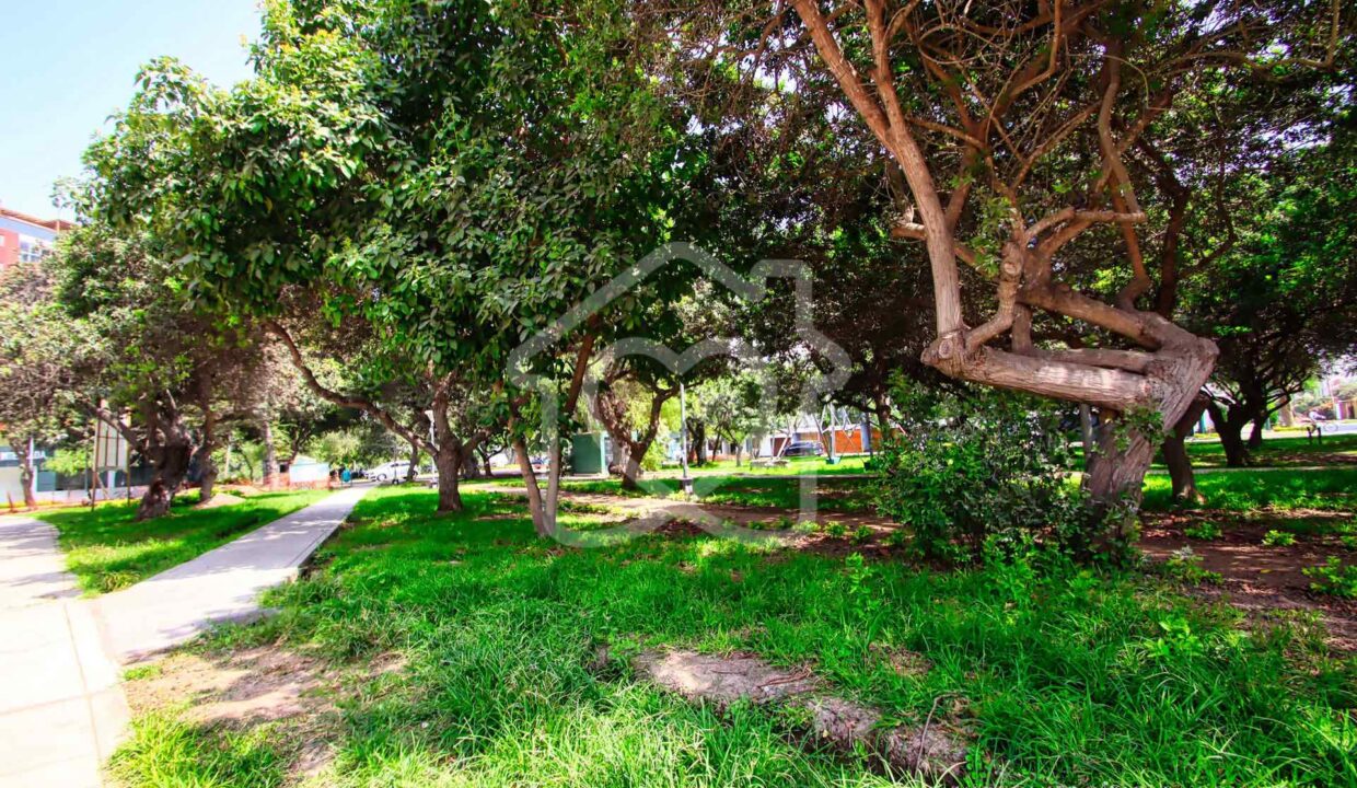 departamento en venta san borja59
