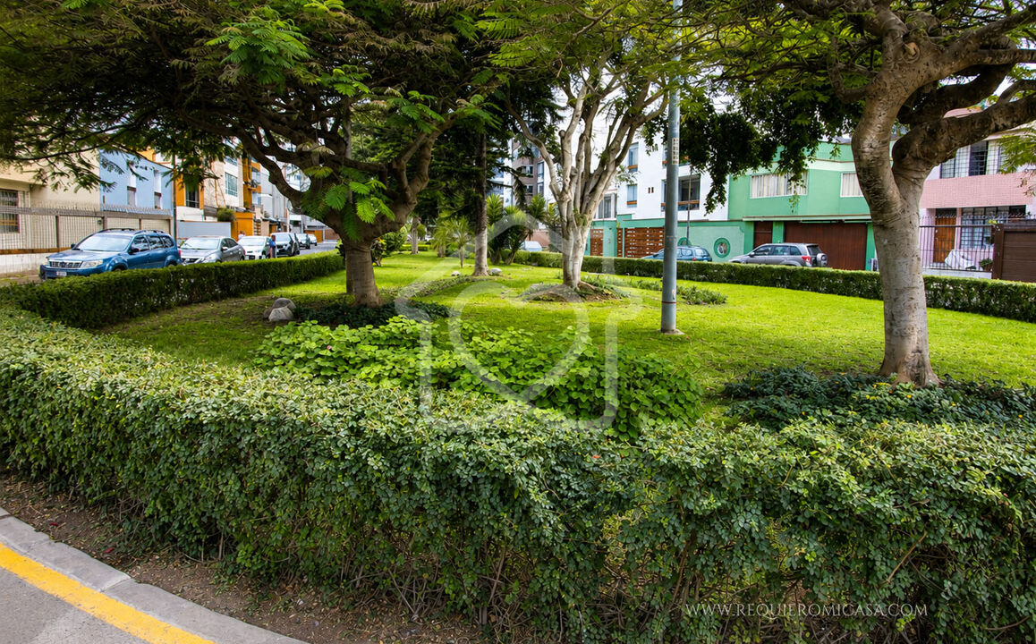 ChatGPT-Image-17-ago-2026,-11_07_48-a.m.-(5)